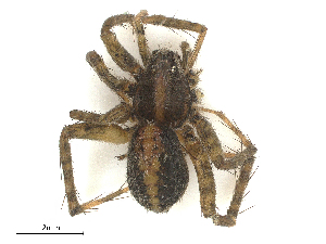  ( - CBG-A67022-D01)  @11 [ ] CreativeCommons - Attribution Share - Alike (2025) CBG Photography Group Centre for Biodiversity Genomics