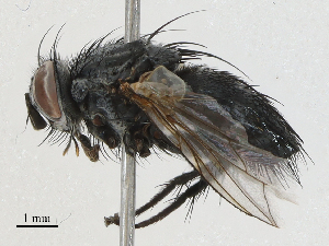  ( - CBG-A04442-C01)  @11 [ ] CreativeCommons - Attribution (2023) CBG Photography Group Centre for Biodiversity Genomics