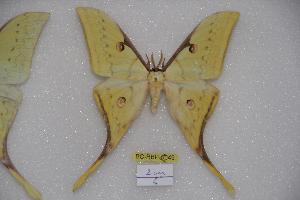  ( - BC-RBP-0045)  @14 [ ] Copyright (2010) Ron Brechlin Research Collection of Ron Brechlin