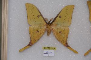  ( - BC-RBP-0049)  @14 [ ] Copyright (2010) Ron Brechlin Research Collection of Ron Brechlin