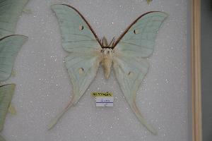  ( - BC-RBP-0070)  @14 [ ] Copyright (2010) Ron Brechlin Research Collection of Ron Brechlin