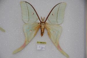  ( - BC-RBP-0075)  @14 [ ] Copyright (2010) Ron Brechlin Research Collection of Ron Brechlin