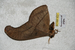  ( - BC-RBP 3831)  @12 [ ] Copyright (2010) Ron Brechlin Research Collection of Ron Brechlin