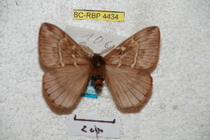  ( - BC-RBP 4434)  @13 [ ] Copyright (2010) Ron Brechlin Unspecified
