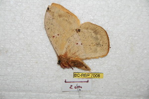  ( - BC-RBP 7006)  @12 [ ] Copyright (2012) Ron Brechlin Research Collection of Ron Brechlin