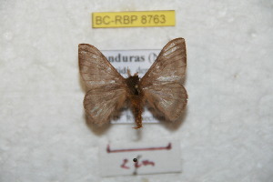  ( - BC-RBP 8763)  @11 [ ] Copyright (2014) Ron Brechlin Research Collection of Ron Brechlin