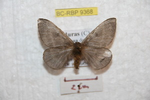  ( - BC-RBP 9368)  @11 [ ] Copyright (2015) Ron Brechlin Research Collection of Ron Brechlin
