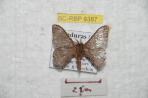  ( - BC-RBP 9387)  @11 [ ] Copyright (2015) Ron Brechlin Research Collection of Ron Brechlin