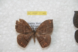  ( - BC-RBP 11148)  @11 [ ] Copyright (2018) Ron Brechlin Research Collection of Ron Brechlin