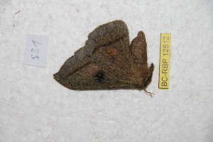  ( - BC-RBP 12512)  @11 [ ] copyright (2022) Ron Brechlin Research Collection of Ron Brechlin