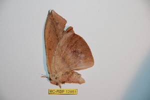  ( - BC-RBP12851)  @11 [ ] copyright (2024) Ron Brechlin Research Collection of Ron Brechlin