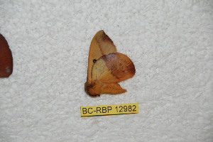  ( - BC-RBP-12982)  @11 [ ] copyright (2024) Ron Brechlin Research Collection of Ron Brechlin