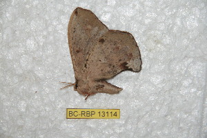  ( - BC-RBP-13114)  @11 [ ] copyright (2025) Ron Brechlin Research Collection of Ron Brechlin
