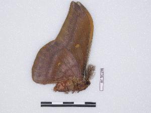 ( - BC-SK0256)  @12 [ ] Copyright (2010) Steve Kohll Research Collection of Steve Kohll