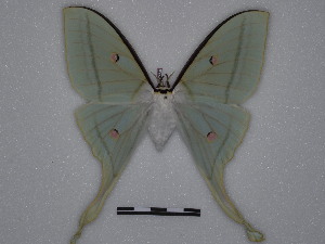  ( - BC-SK0327)  @14 [ ] Copyright (2010) Steve Kohll Research Collection of Steve Kohll