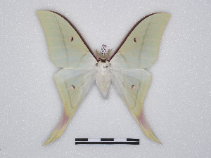  ( - BC-SK0329)  @14 [ ] Copyright (2010) Steve Kohll Research Collection of Steve Kohll