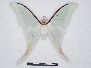  ( - BC-SK0331)  @14 [ ] Copyright (2010) Steve Kohll Research Collection of Steve Kohll