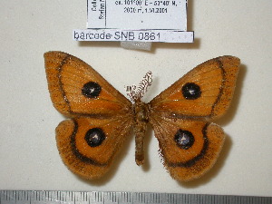  ( - barcode SNB 861)  @13 [ ] Copyright (2010) Stefan Naumann Research Collection of Stefan Naumann