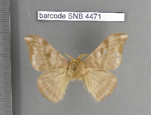  ( - barcode SNB 4471)  @13 [ ] Copyright (2012) Stefan Naumann Research Collection of Stefan Naumann