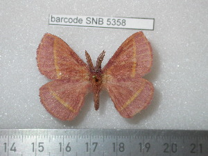  ( - barcode SNB 5358)  @14 [ ] Copyright (2014) Stefan Naumann Research Collection of Stefan Naumann