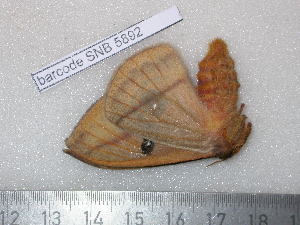  ( - barcode SNB 5892)  @12 [ ] Copyright (2016) Stefan Naumann private