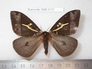  ( - barcode SNB 6757)  @11 [ ] copyright (2020) Stefan Naumann private