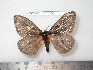  ( - barcode SNB 6758)  @11 [ ] copyright (2020) Stefan Naumann private