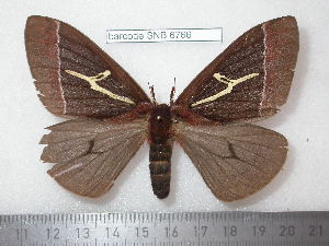  ( - barcode SNB 6766)  @11 [ ] copyright (2020) Stefan Naumann private