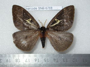  ( - barcode SNB 6768)  @11 [ ] copyright (2020) Stefan Naumann private