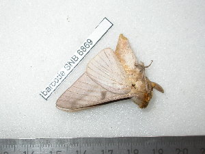  ( - barcode SNB 6869)  @11 [ ] copyright (2020) Stefan Naumann private