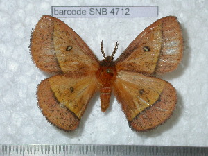  ( - barcode SNB 4712)  @14 [ ] Copyright (2012) Stefan Naumann Research Collection of Stefan Naumann