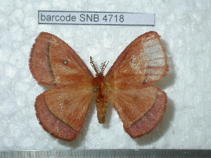  ( - barcode SNB 4718)  @14 [ ] Copyright (2012) Stefan Naumann Research Collection of Stefan Naumann