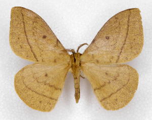  ( - BC-JJ2826-H10)  @11 [ ] Copyright (2010) Jo Joannou Research Collection of Jo Joannou