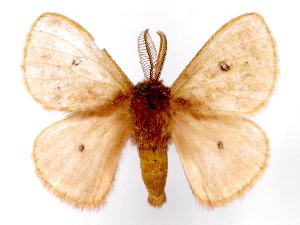  ( - BC-JJ2827-D08)  @11 [ ] Copyright (2010) Jo Joannou Research Collection of Jo Joannou
