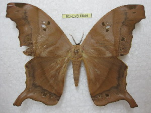  ( - BC-EvS 0846)  @14 [ ] Copyright (2010) Eric Van Schayck Unspecified