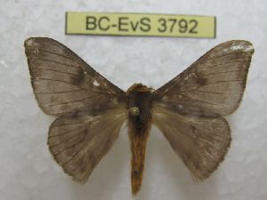  ( - BC-EvS 3792)  @11 [ ] No Rights Reserved (2014) Eric van Schayck Unspecified