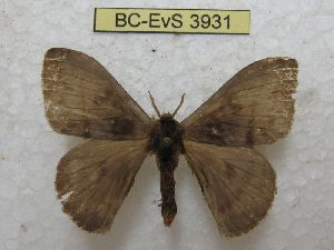  ( - BC-EvS 3931)  @11 [ ] No Rights Reserved (2014) Eric van Schayck Unspecified