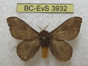  ( - BC-EvS 3932)  @11 [ ] No Rights Reserved (2014) Eric van Schayck Unspecified