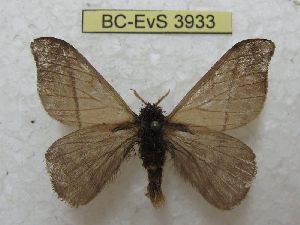  ( - BC-EvS 3933)  @11 [ ] No Rights Reserved (2014) Eric van Schayck Unspecified