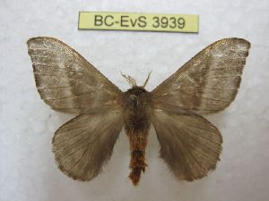  ( - BC-EvS 3939)  @11 [ ] No Rights Reserved (2014) Eric van Schayck Unspecified