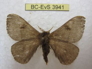  ( - BC-EvS 3941)  @11 [ ] No Rights Reserved (2014) Eric van Schayck Unspecified