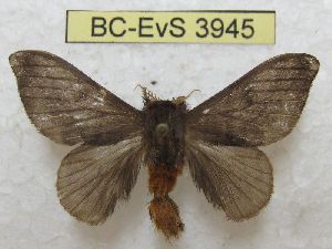  ( - BC-EvS 3945)  @11 [ ] No Rights Reserved (2014) Eric van Schayck Unspecified