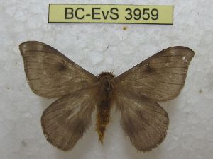  ( - BC-EvS 3959)  @11 [ ] No Rights Reserved (2014) Eric van Schayck Unspecified