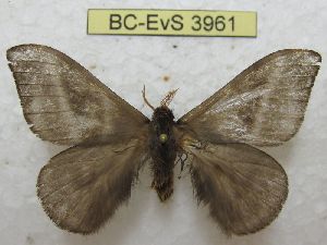  ( - BC-EvS 3961)  @11 [ ] No Rights Reserved (2014) Eric van Schayck Unspecified