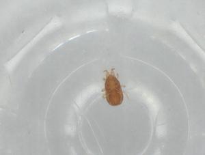  ( - BIOUG74544-E01)  @11 [ ] CreativeCommons - Attribution (2021) Centre for Biodiversity Genomics Centre for Biodiversity Genomics