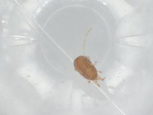  ( - BIOUG74548-C08)  @11 [ ] CreativeCommons - Attribution (2021) Centre for Biodiversity Genomics Centre for Biodiversity Genomics