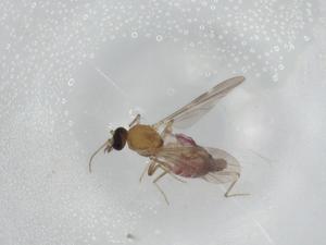  ( - BIOUG74555-B09)  @11 [ ] CreativeCommons - Attribution (2021) Centre for Biodiversity Genomics Centre for Biodiversity Genomics