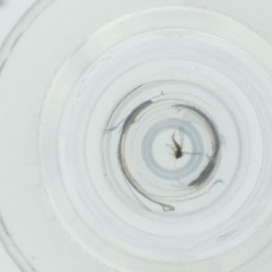  ( - CAMP_118_A8)  @11 [ ] by  Genome Research Ltd as Wellcome Sanger Institute Genome Research Limited operating as Wellcome Sanger Institute