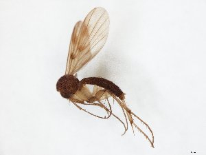 ( - TSZD-JKJ-107209)  @11 [ ] CreativeCommons - Attribution Non-Commercial Share-Alike (2019) Unspecified Tromsø University Museum