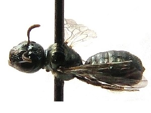  ( - KJH.4795)  @12 [ ] Unspecified (default): All Rights Reserved  Unspecified Unspecified